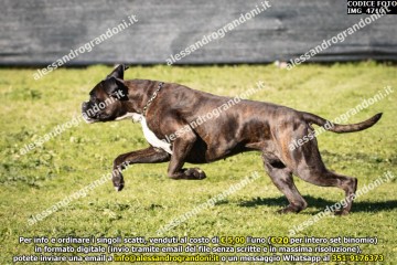 IMG_4710.jpg