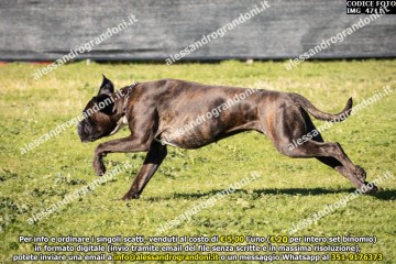 IMG_4711.jpg