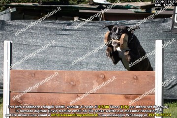 IMG_4719.jpg