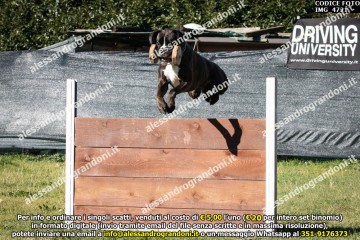 IMG_4721.jpg