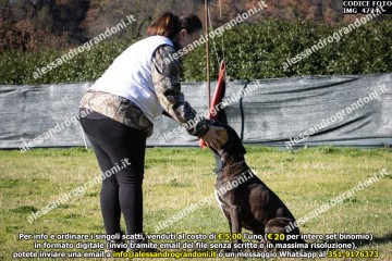 IMG_4724.jpg