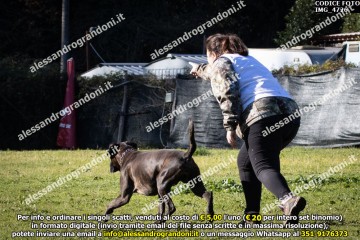 IMG_4726.jpg
