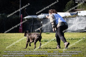 IMG_4727.jpg