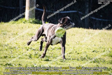 IMG_4732.jpg