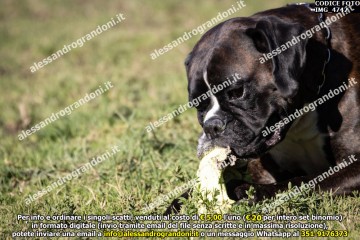 IMG_4742.jpg