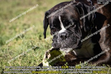 IMG_4744.jpg