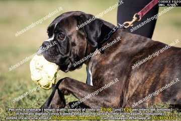 IMG_4746.jpg