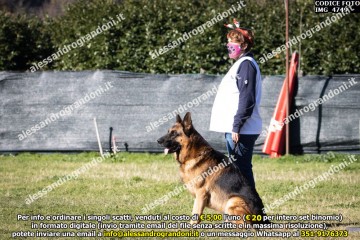 IMG_4749.jpg