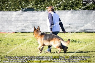 IMG_4752.jpg