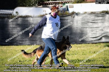 IMG_4754.jpg