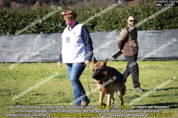 IMG_4759.jpg