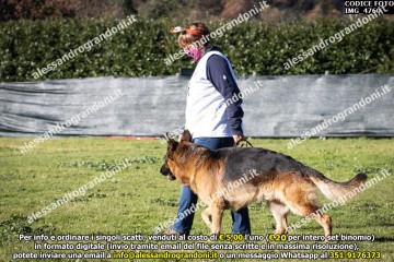 IMG_4760.jpg