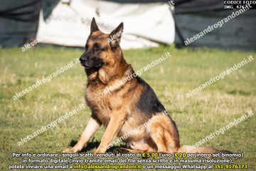 IMG_4767.jpg