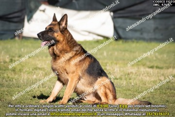 IMG_4768.jpg