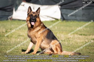 IMG_4769.jpg
