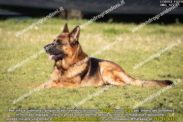 IMG_4772.jpg
