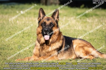 IMG_4773.jpg
