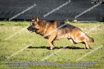 IMG_4775.jpg