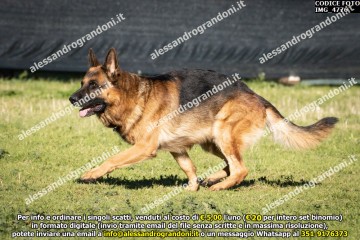 IMG_4776.jpg