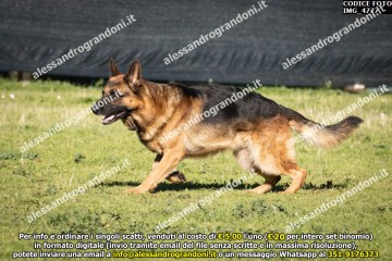 IMG_4777.jpg