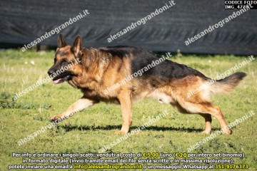 IMG_4778.jpg