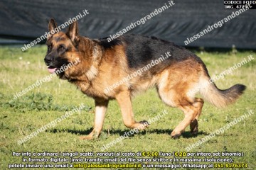 IMG_4779.jpg