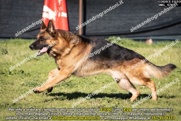 IMG_4781.jpg