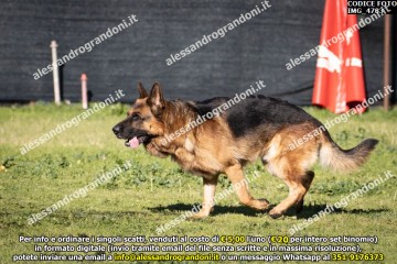 IMG_4783.jpg