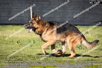 IMG_4784.jpg