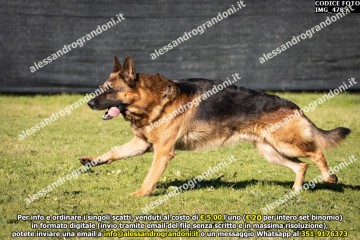 IMG_4785.jpg