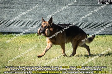 IMG_4791.jpg