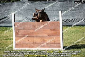 IMG_4793.jpg