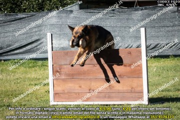 IMG_4795.jpg