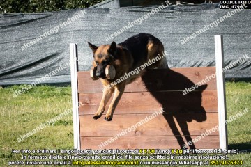 IMG_4796.jpg