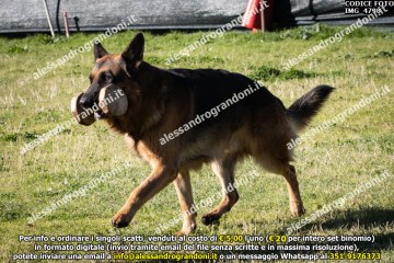 IMG_4798.jpg