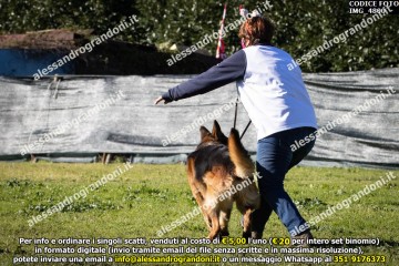 IMG_4800.jpg
