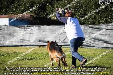 IMG_4802.jpg