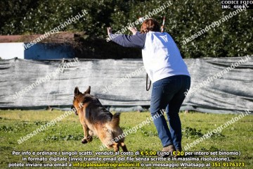 IMG_4804.jpg