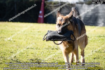 IMG_4813.jpg