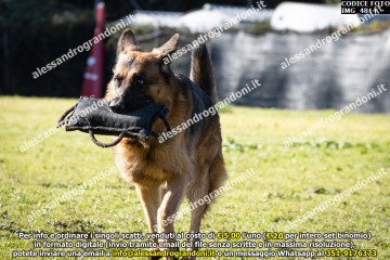 IMG_4814.jpg