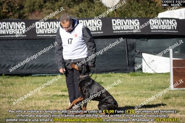 IMG_4839.jpg