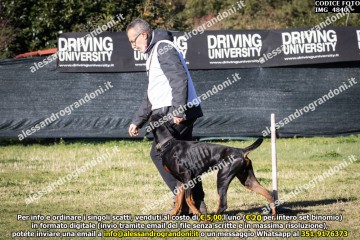 IMG_4840.jpg