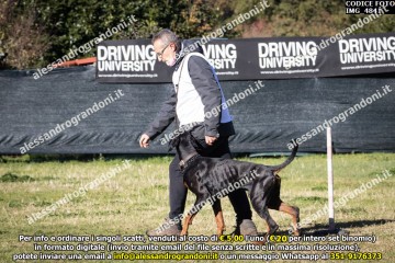 IMG_4841.jpg