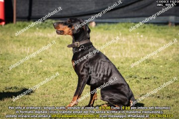 IMG_4854.jpg