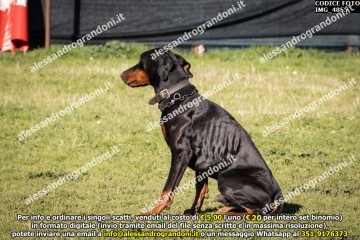 IMG_4855.jpg