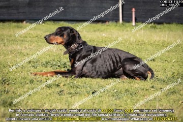 IMG_4857.jpg