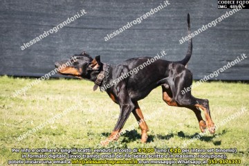 IMG_4859.jpg
