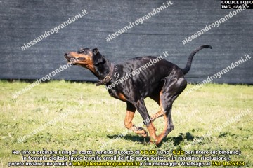 IMG_4860.jpg