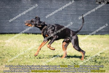 IMG_4861.jpg