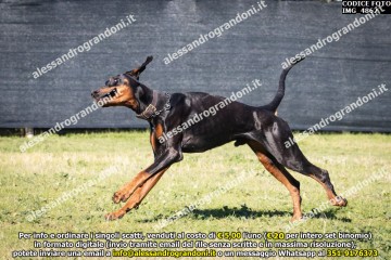 IMG_4862.jpg